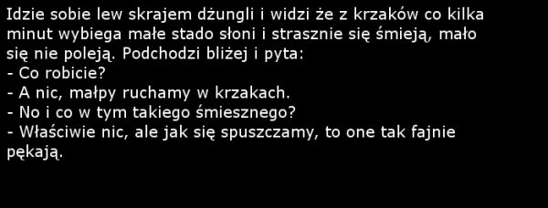 s?onie