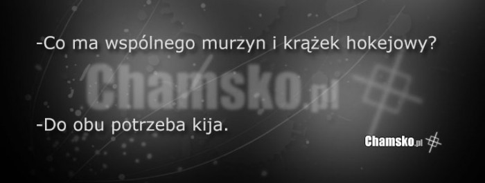 Zagadka