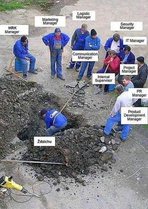 ?dzichu