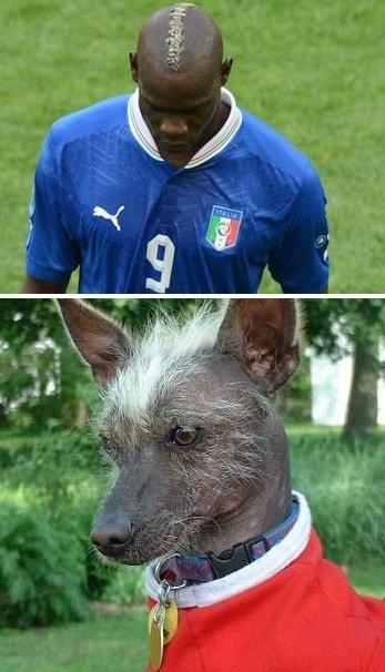 pies balotellego