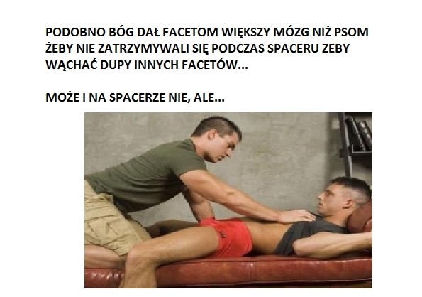MÓZG FACETA