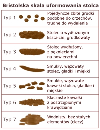 A Ty jaką skalą dzisiaj srałeś?