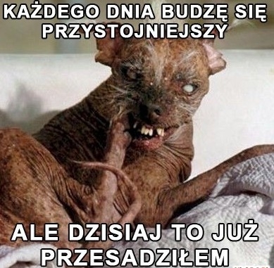 Przesadzi?em