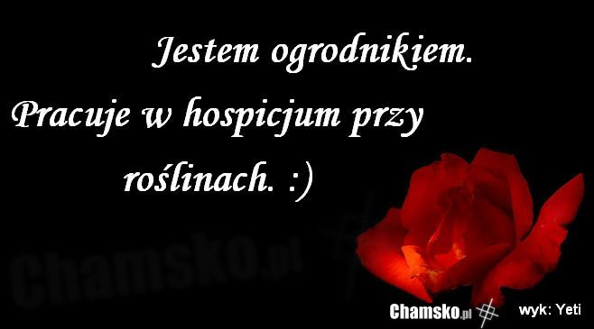 Jestem ogrodnikiem!