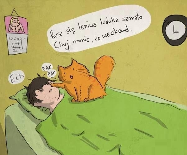 Rusz si?!