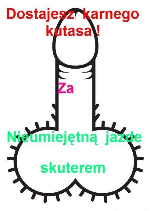 Karny kutas