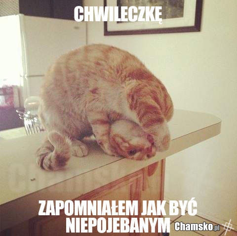 Jestem pojebany