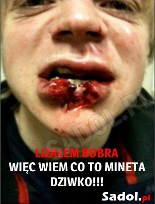 Lizałem bobra
