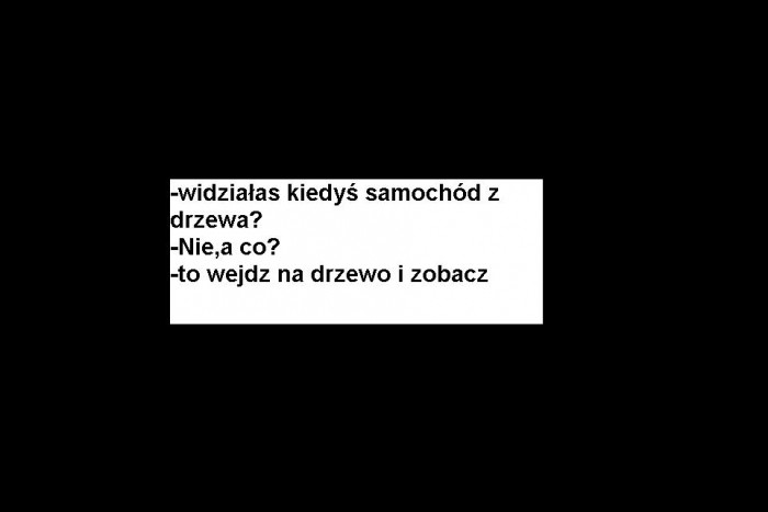 Samochód