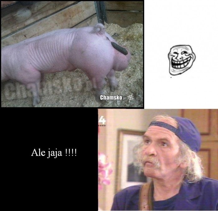 Ale jaja !