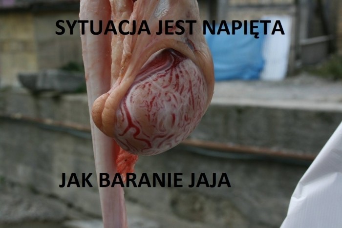 GDY POJAWI SIĘ PROBLEM