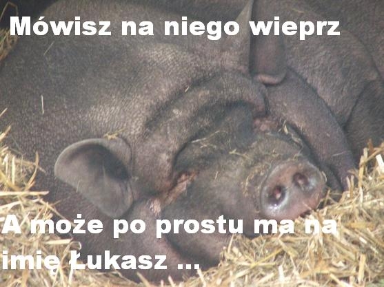 Lukasz