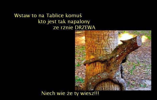 wstaw