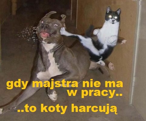 gdy majstra nie ma..