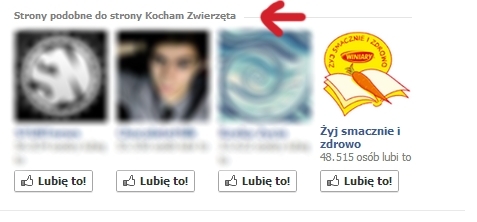 Kocham Zwierzęta