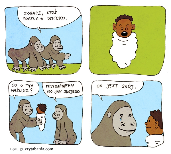 Obraza dla małp