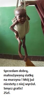 Dior dla twojego pupila