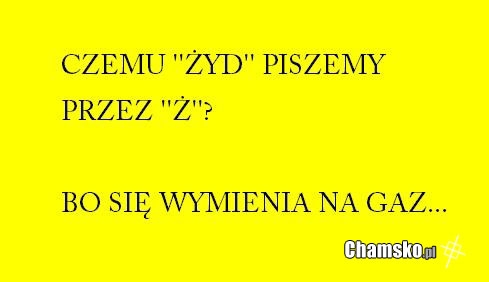 zyd