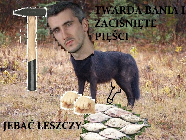 Wilku zawsze w formie