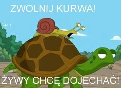 Stary zwolnij