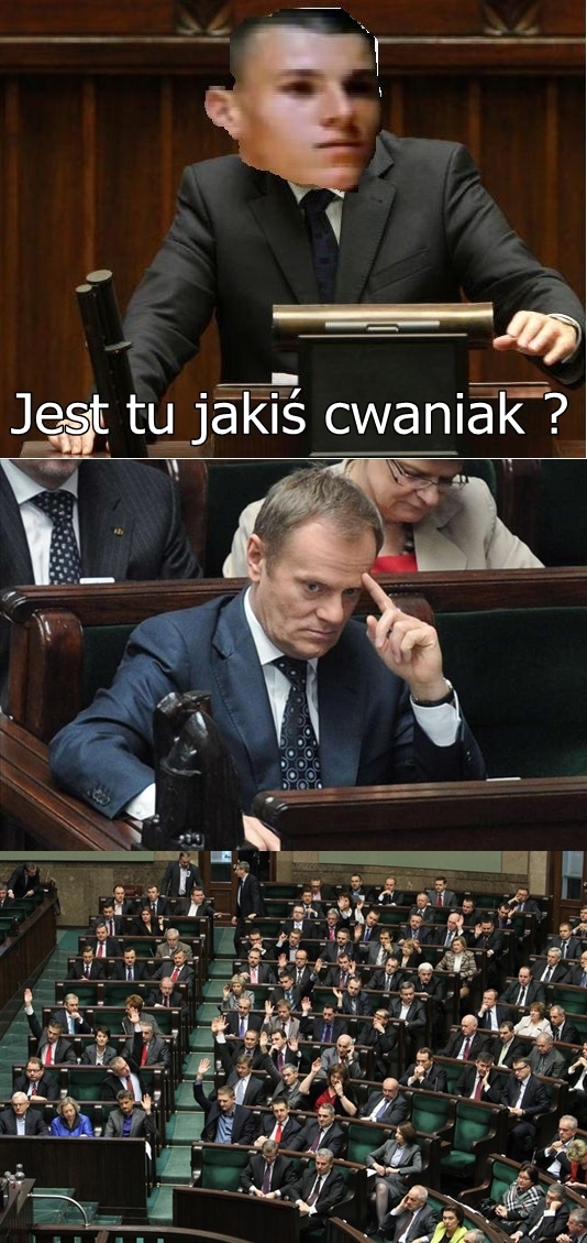 Jest tu jakiś cwaniak - Wersja sejmowa