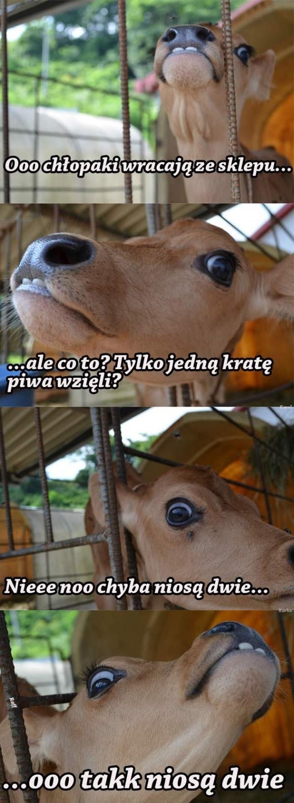 Przed imprezą