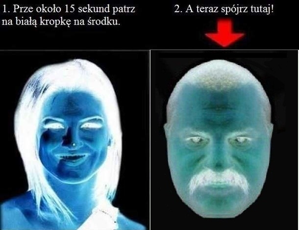 patrz