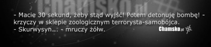 Samobójca