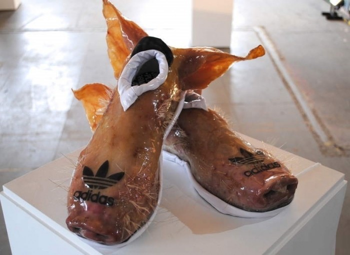 Buciki