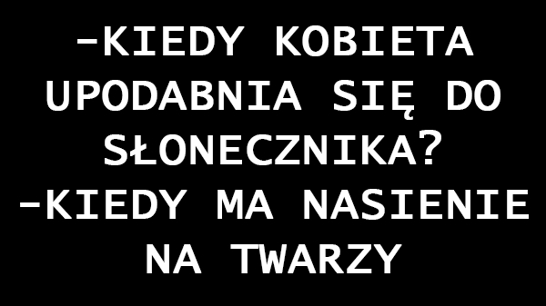 Jak słonecznik