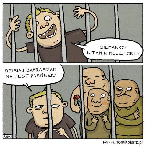 Bloger kulinarny