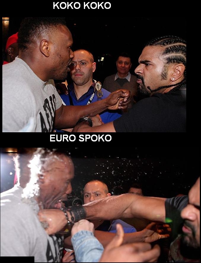 KOKO KOKO