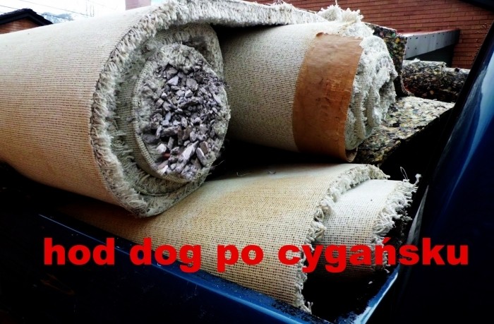 Hod dog