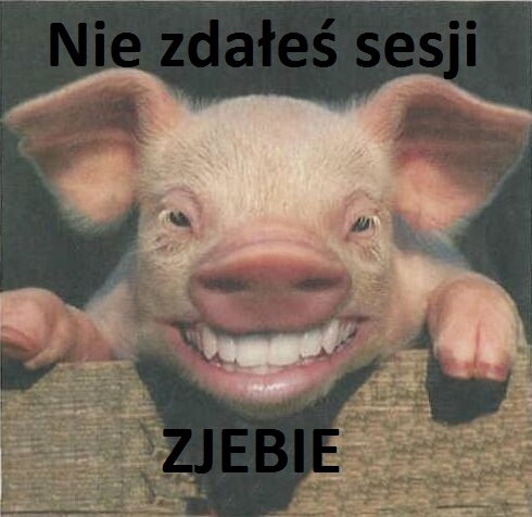 Ujebałeś