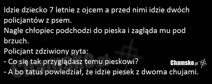 piesek