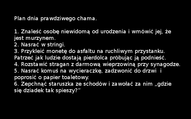 Plan dnia