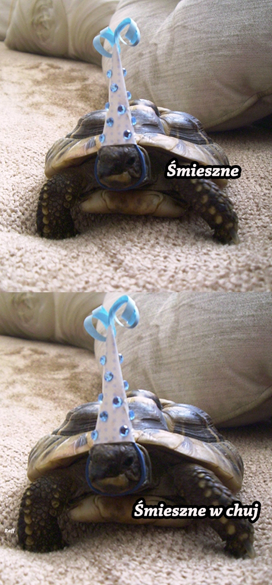 Bardzo śmieszne...