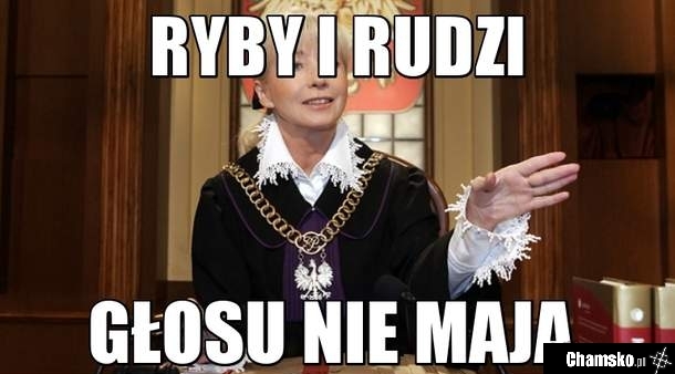 Ryby i rudzi