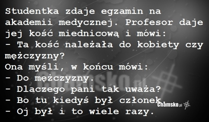 Egzamin