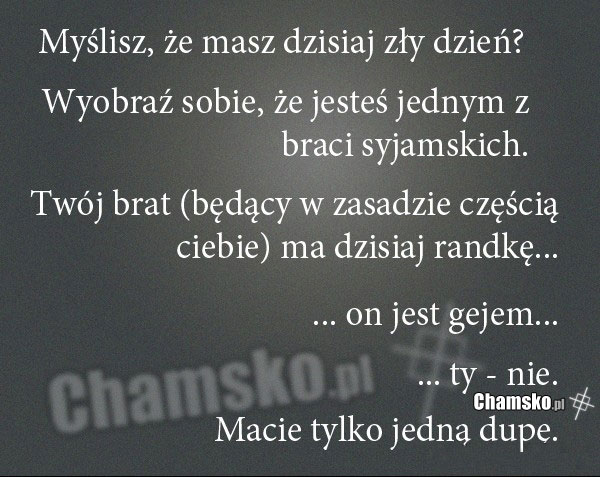 z?y dzie??