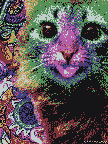 LSD