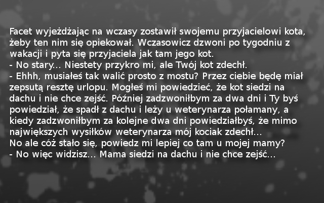 dowcip