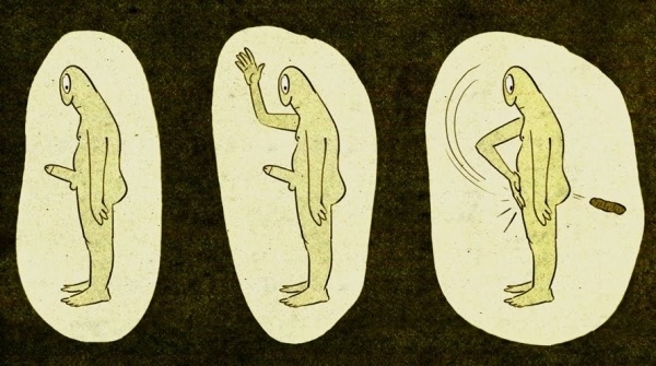 Wzwód