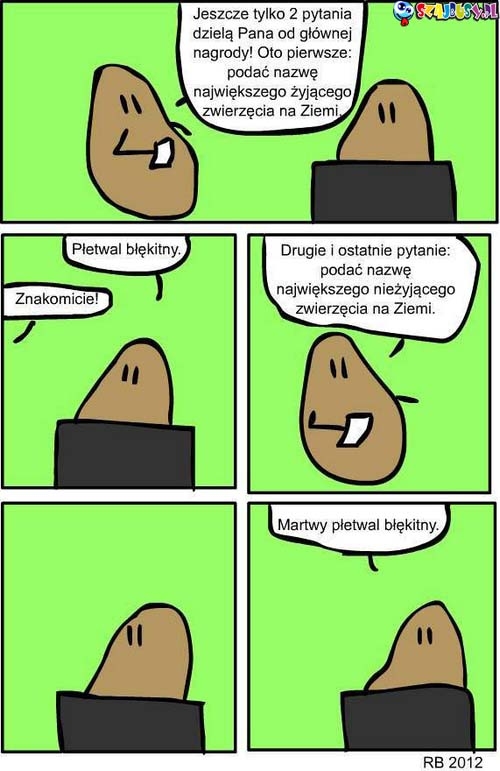 Największy zwierz na ziemi