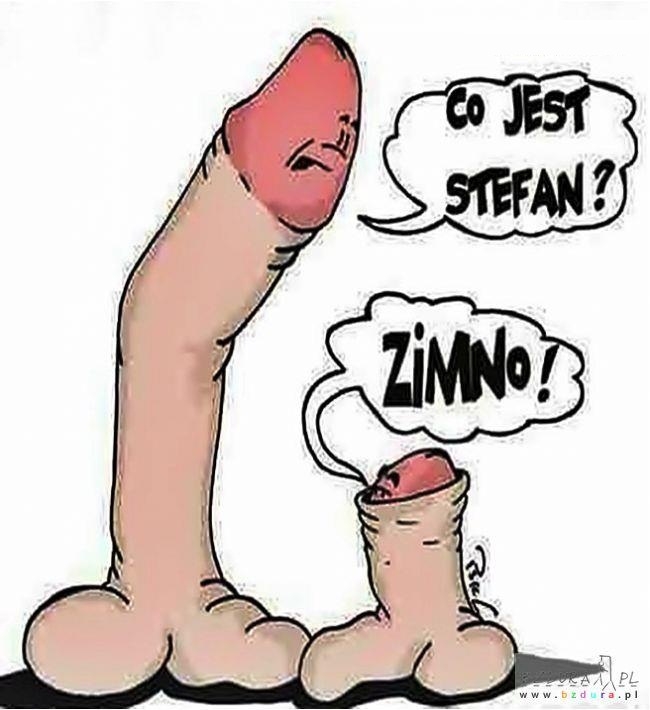 Zima przyszła wszystko marnieje