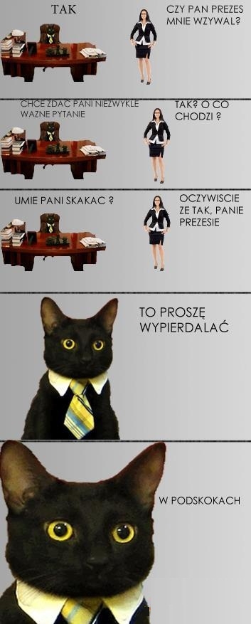 Pan prezes