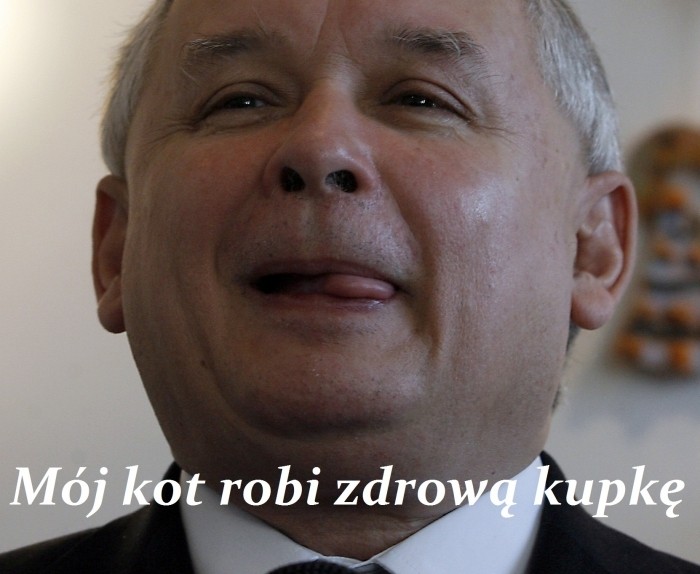 jarek