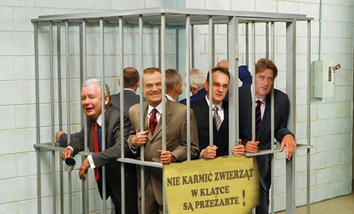 Nie karmić! Bić można...