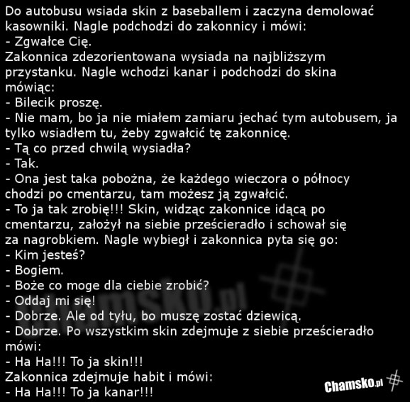 Przygody skina