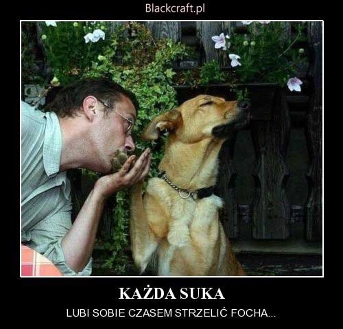 ka?da suka